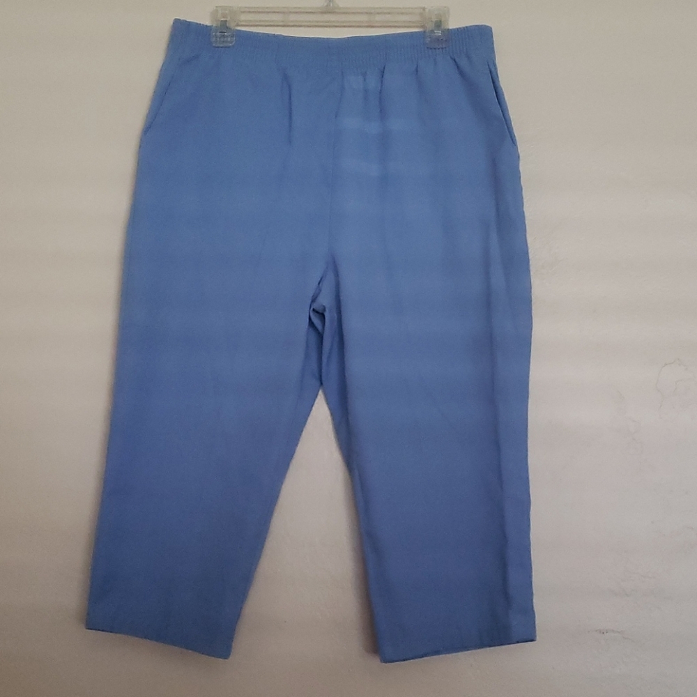 Blue Medium Petite Scrub Pants